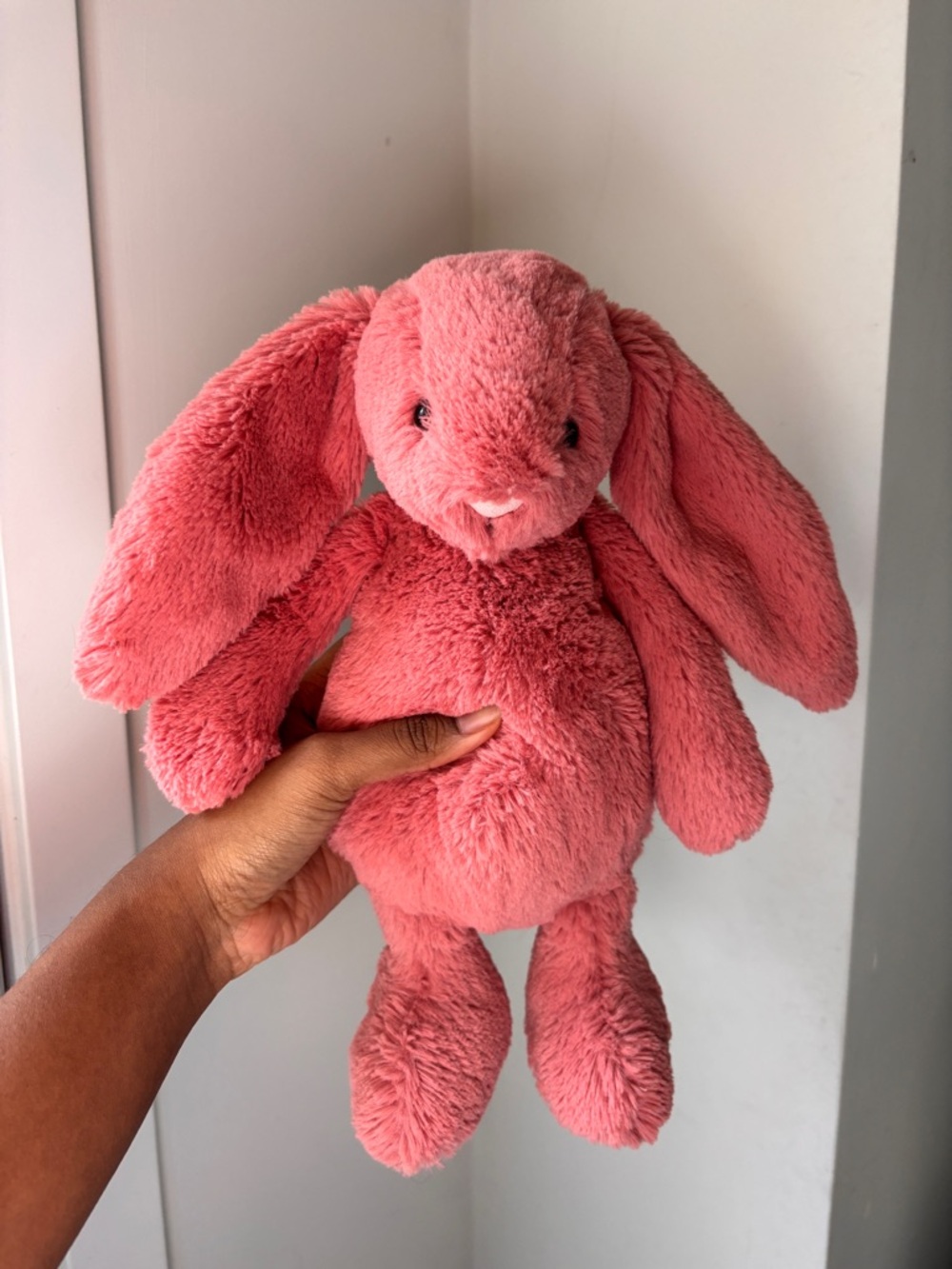 Hard to Find Jellycat Sorrel Bashful Bunny Plush BNWOT